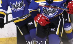Official Rules of Ice Hockey 2017 - 21